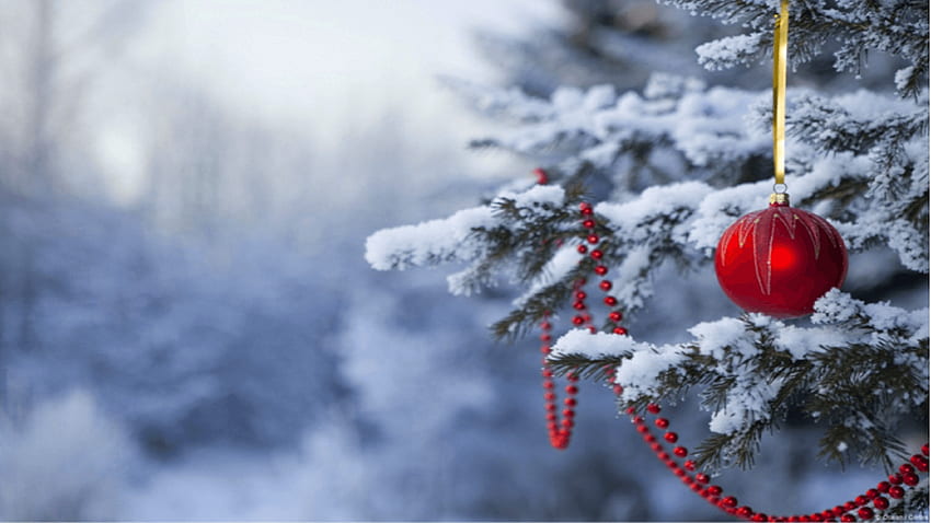 Christmas - Winter Christmas Background - & Background, Outdoor Christmas  HD wallpaper | Pxfuel