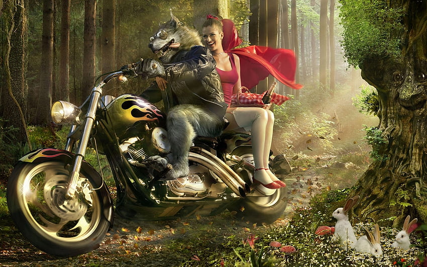 Funny, Girls, Tails, Little Red Riding Hood HD wallpaper