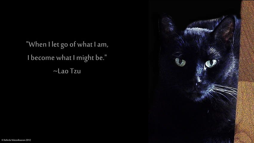Lao Tzu, Sun Tzu papel de parede HD