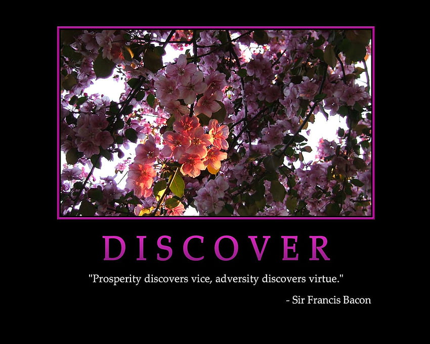 Motivating, Inspirational, Motivational, Stories, Quotes, Thoughts, Funny, Sacred Quotes, : DISCOVER, Francis Bacon HD wallpaper