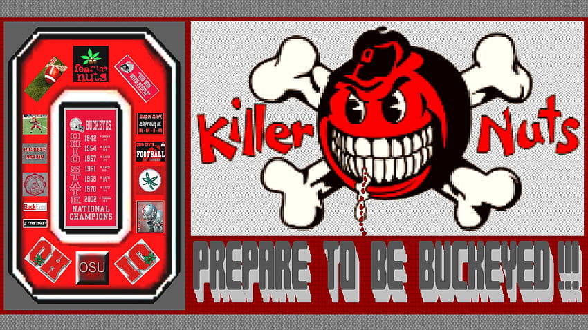 KILLER NUTS PREPARE TO BE BUCKEYED!, buckeyes, killer nuts, ohio state, football HD wallpaper