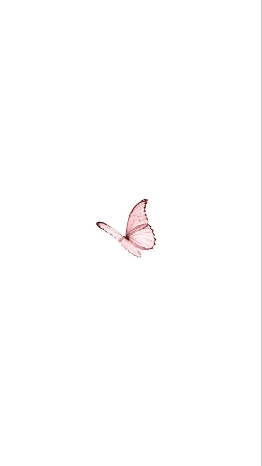 Pink butterfly . Simple phone , Simple iphone , Butterfly , Minimalist Butterfly HD phone wallpaper