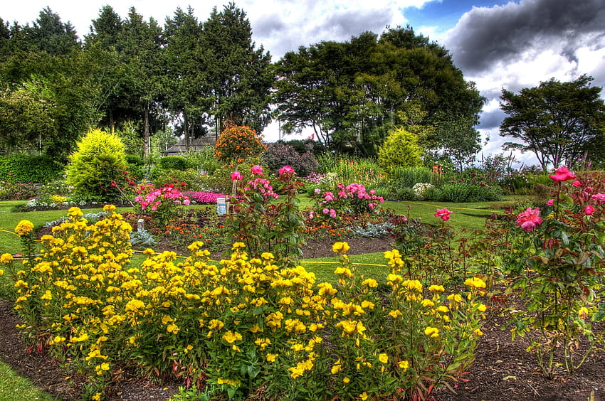 Natur, Blumen, Bäume, Rosen, Garten HD-Hintergrundbild