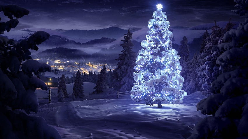 Christmas Tree, winter, night, snow, lights, trees, village HD wallpaper