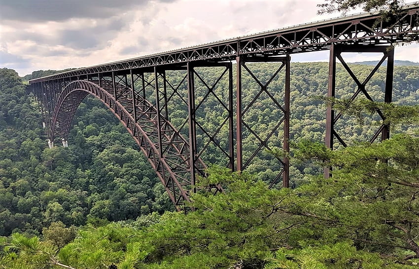 Jembatan Ngarai Sungai Baru, Virginia Barat, Virginia Barat, Jembatan, Ngarai Sungai Baru, Pohon Wallpaper HD