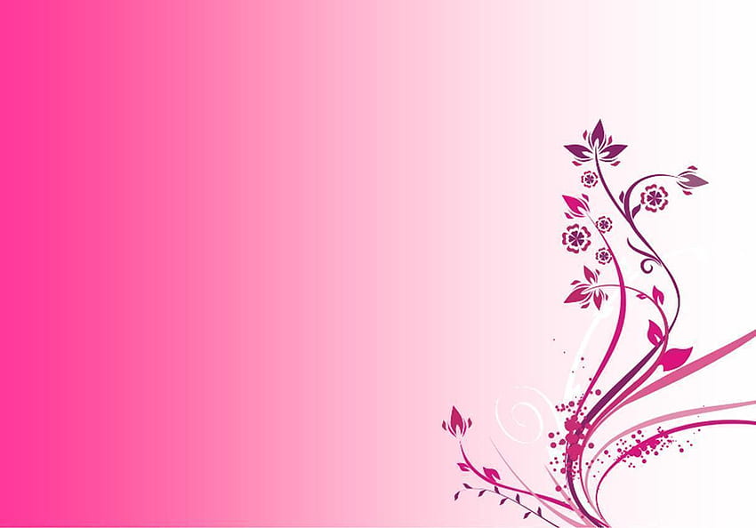 Rosa Farbhintergrund, hellrosa Farbe HD-Hintergrundbild