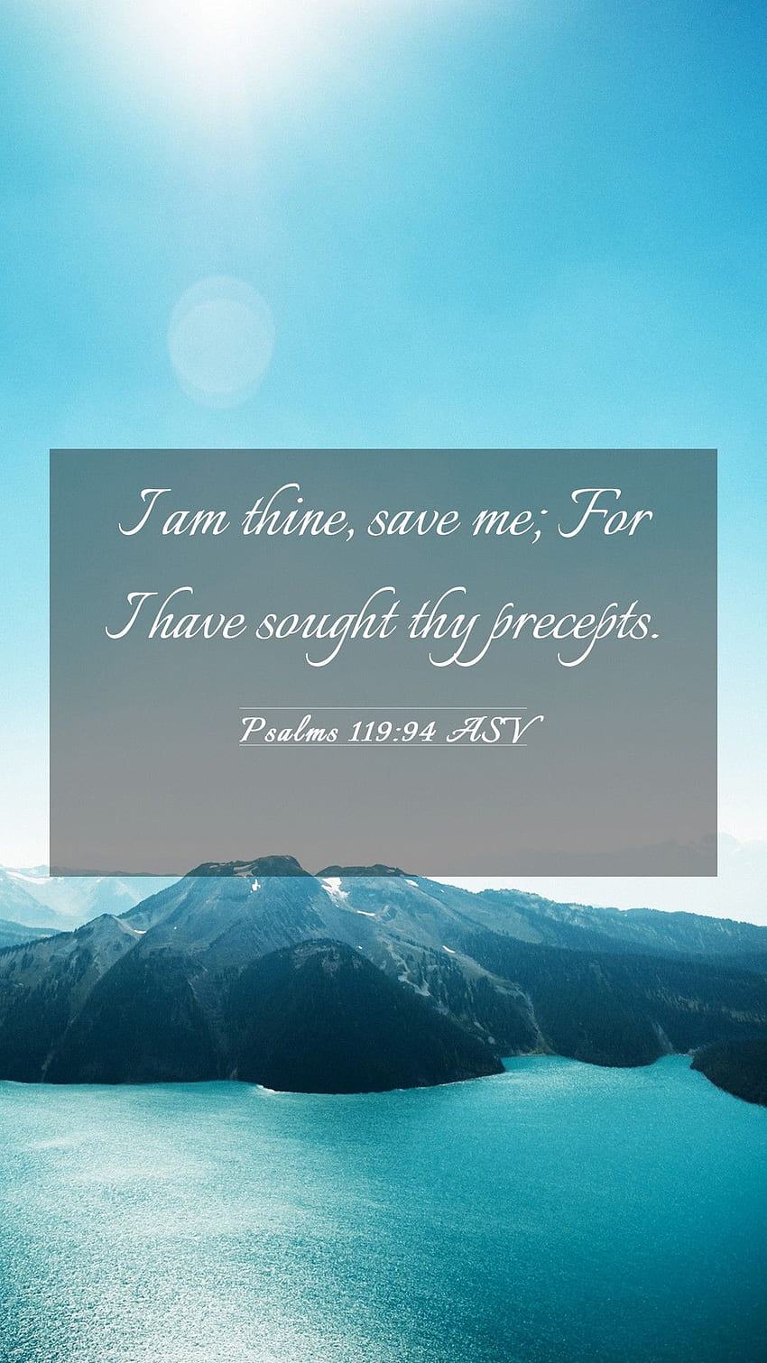 Psalms 119:94 ASV Mobile Phone - I am thine, save me; For I have sought thy HD phone wallpaper
