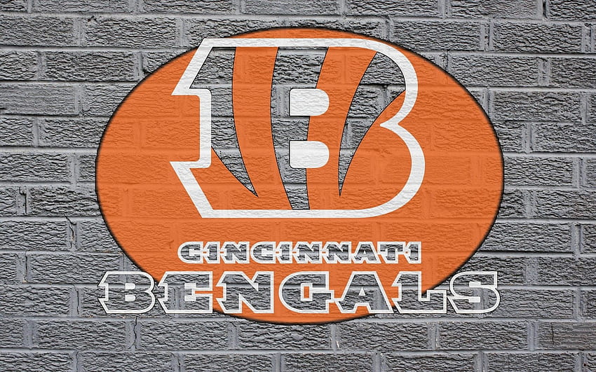 Cincinnati Bengals Nfl Football R Data Src Cincinnati Bengals Tip, Bengals Logosu HD duvar kağıdı