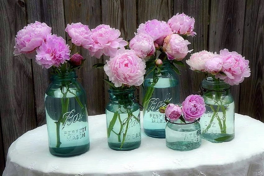 ✿⊱•╮Peonies in Aqua╭•⊰✿, beloved valentines, graphy, peonies, garden, lovely still life, summer, love four seasons, jars, pink, decorations, nature, flowers, chic HD wallpaper