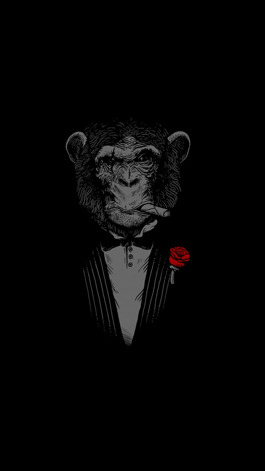 Baddass walIpaper I found in one of my apps. ( OMELD APP). Monkey , Pure black , Samsung android, Super AMOLED Display HD phone wallpaper