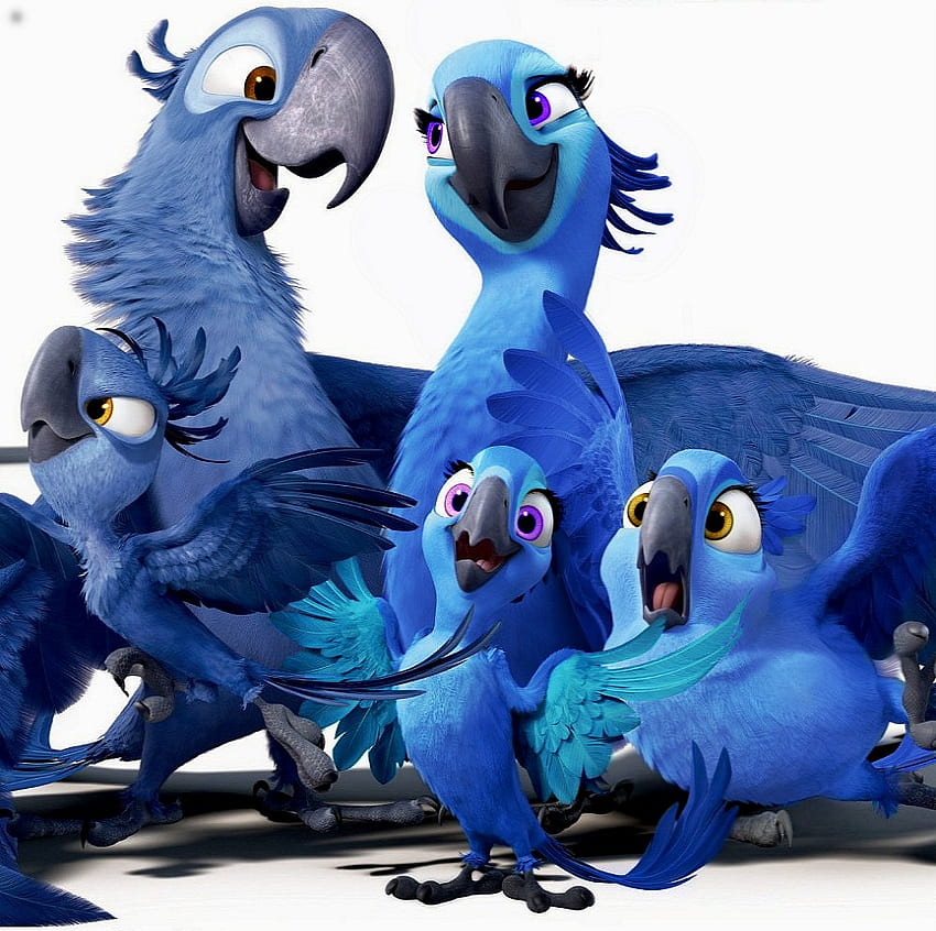 Blue Birds - Rio 2 Blue Bird, Rio Birds HD wallpaper | Pxfuel