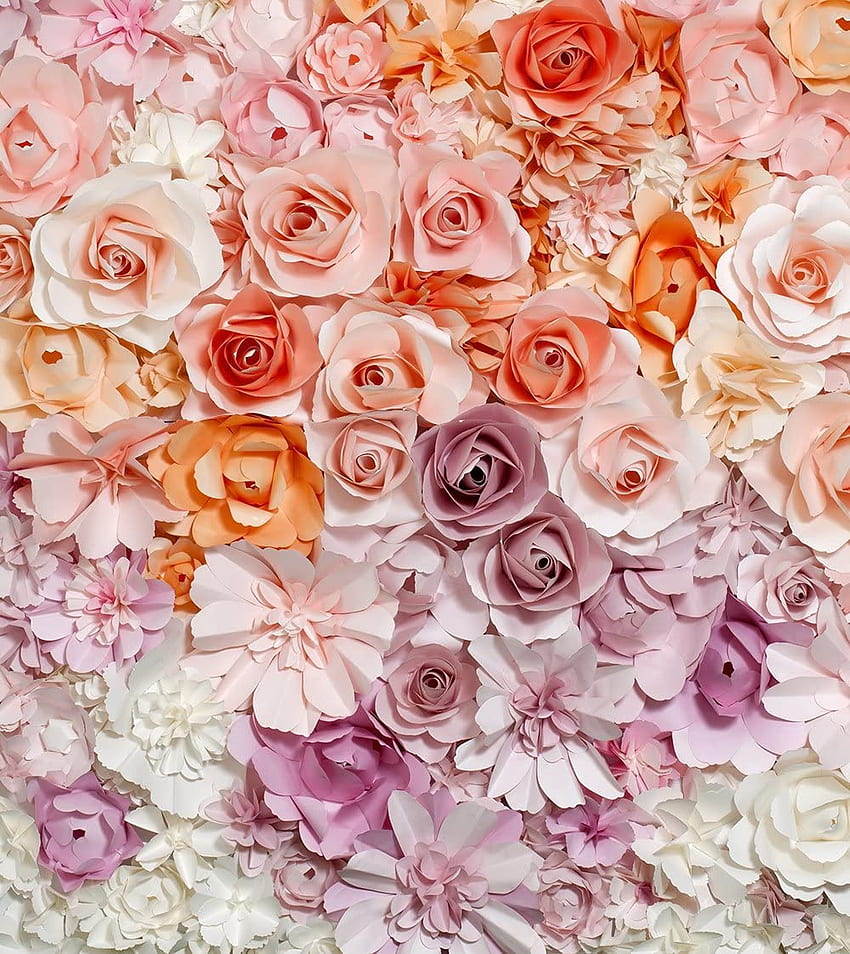 ft Pink Coral Cream Roses Floral Background .uk: Camera &, Light Pink Floral Fond d'écran de téléphone HD