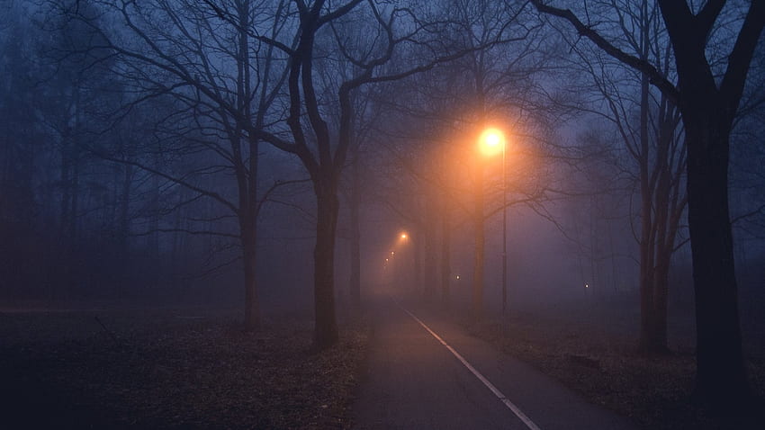 暗く霧のかかった道、霧の通り 高画質の壁紙