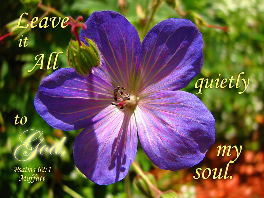 Leave it All to God, purple, blue, Bible, flower, garden HD wallpaper