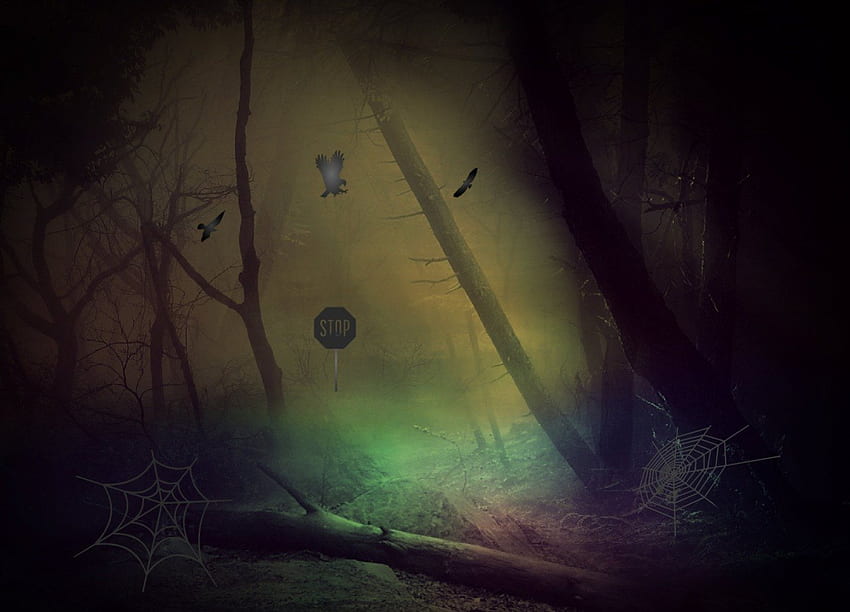 spooky forest, abstract, fantasy, forest, dark HD wallpaper