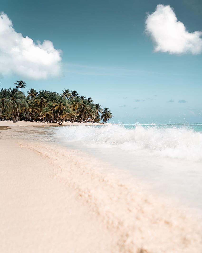 Best Caribbean []. & Stock on Unsplash, Caribbean Scenery HD phone ...