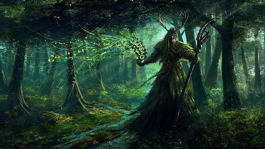 Sorcerer, cg, fantasy, forest HD wallpaper