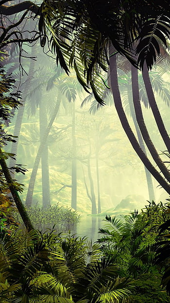 Forest mobile wallpaper tropical jungle  Premium Photo  rawpixel