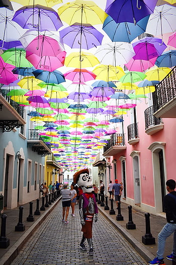 Together In Pink Initiative. An Installation At Fortaleza Street, Old 