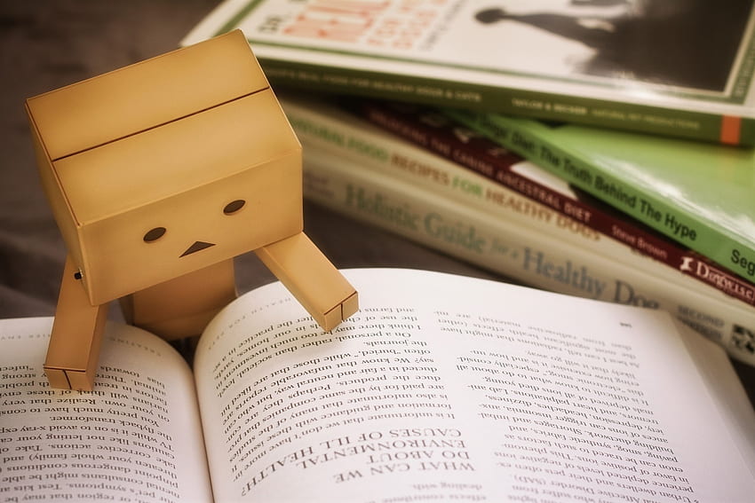 Book, Danbo, Cardboard Robot, Reading HD wallpaper