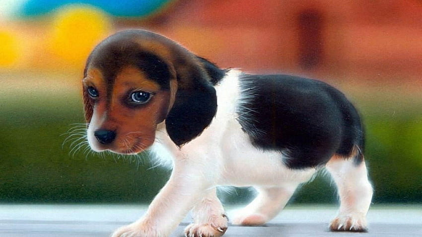 Sad, Cute, Dog, High, Resolution, , For, - Top 10 Dogs Cutest ...