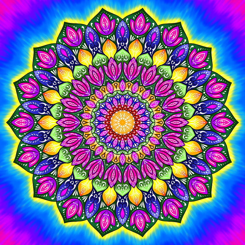 Mandala, magenta, art, colourful HD phone wallpaper