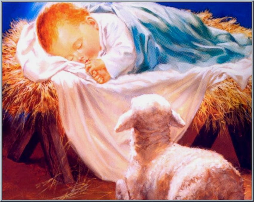 Yeni doğan tatlı İsa, tanrı, koyun, bebek, İsa, İsa, din HD duvar kağıdı