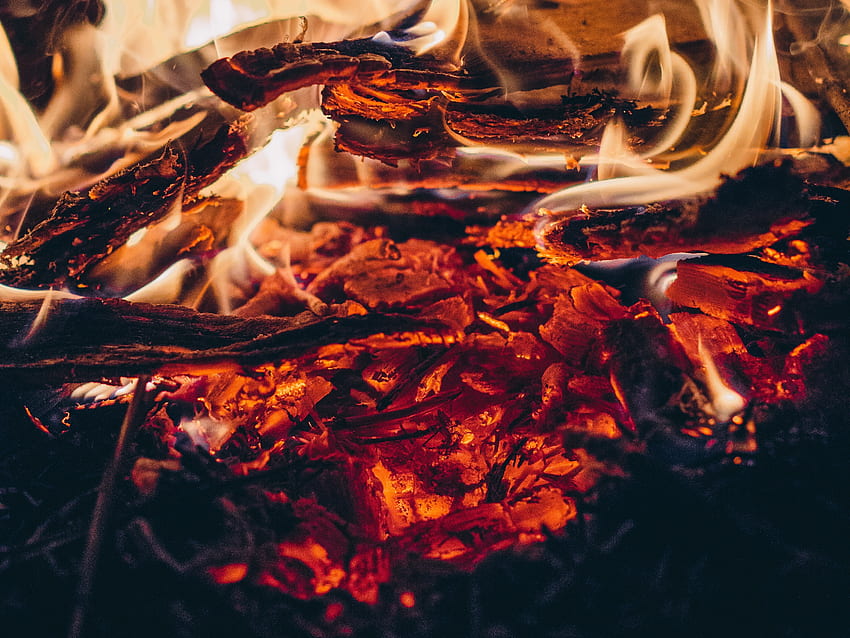 Fire, Bonfire, Coals HD wallpaper