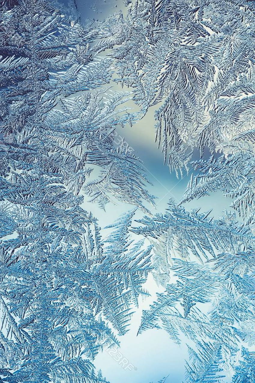 Beautiful Closeup Winter Window Pane Coated Shiny Icy Frost Patterns Stock - 64610780. Winter window, Winter , Ice aesthetic, Snow Window วอลล์เปเปอร์โทรศัพท์ HD