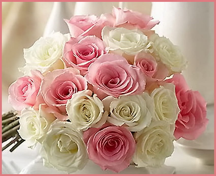 シンジア、ピンク、白、バラ、花、アレンジメントに咲く 高画質の壁紙
