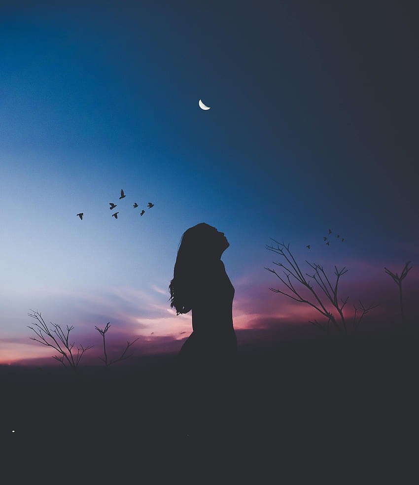 Birds, Night, Moon, Dark, Silhouette, Girl, Loneliness, Harmony HD phone wallpaper