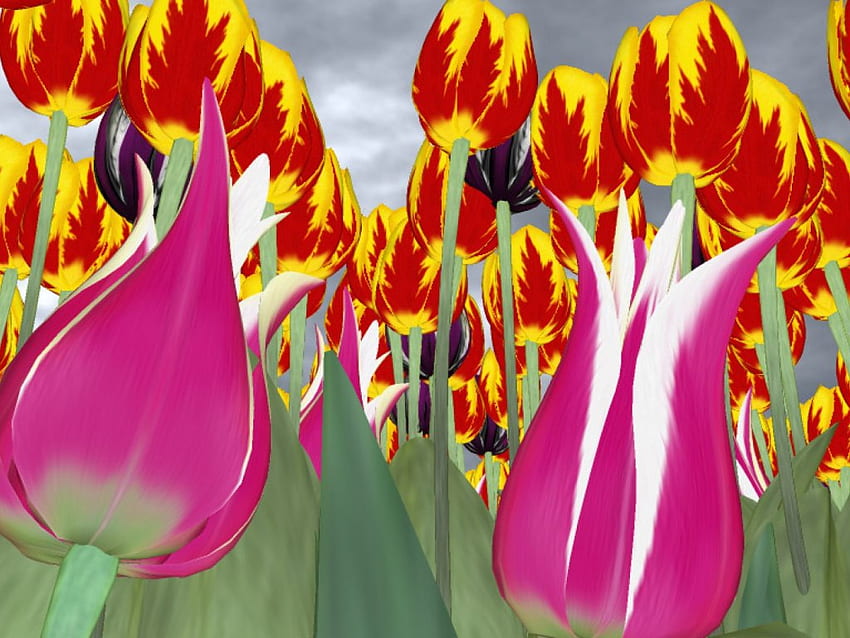 Kommender Sturm, Garten, stürmischer Himmel, Blumen, Tulpen HD-Hintergrundbild