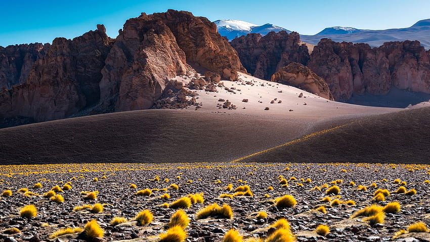 Sci-fi Vibes - Catamarca, Argentina, landscape, sand, rocks, dunes HD wallpaper