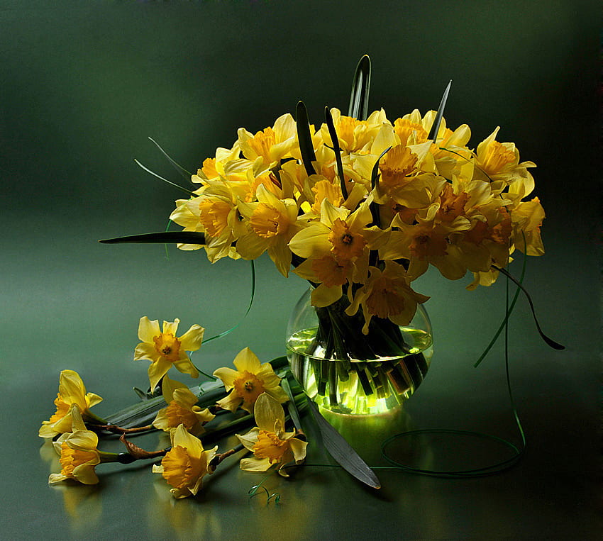 daffodils, still life, flowers, natire HD wallpaper