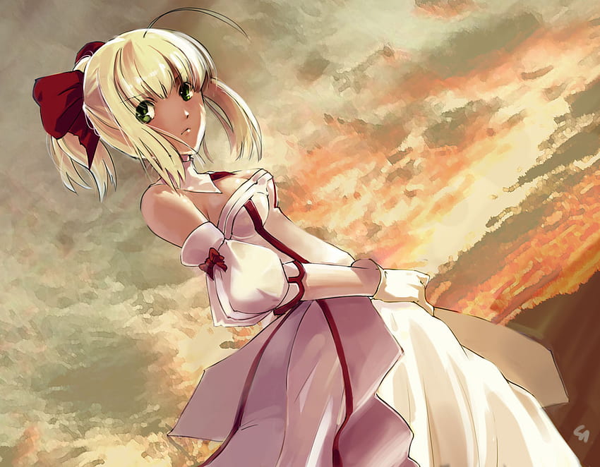 Saber Lily, fate unlimited codes, girl, fate stay night, fate zero, anime girl, saber, lone, anime, clouds, sky, blonde hair, sunset, female HD wallpaper