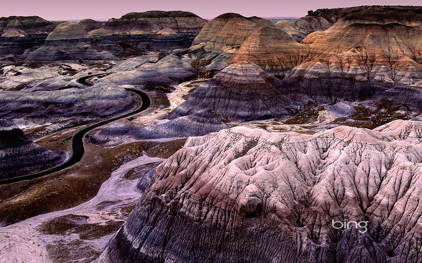 Petrified Forest National Park , Desert Forest HD wallpaper