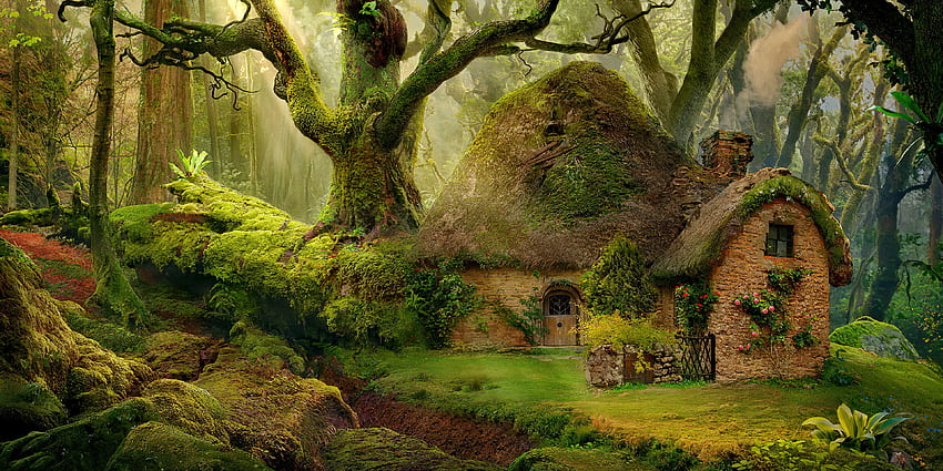 Forest Dwelling, trees, enchanted, cottage, forest, cabin, dreams, house, spooky, beautiful, fantasy, magical HD wallpaper