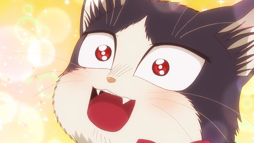 Doukyonin wa Hiza, Tokidoki, Atama no Ue. - Episode 7 discussion : anime, My  Roommate Is A Cat HD wallpaper | Pxfuel