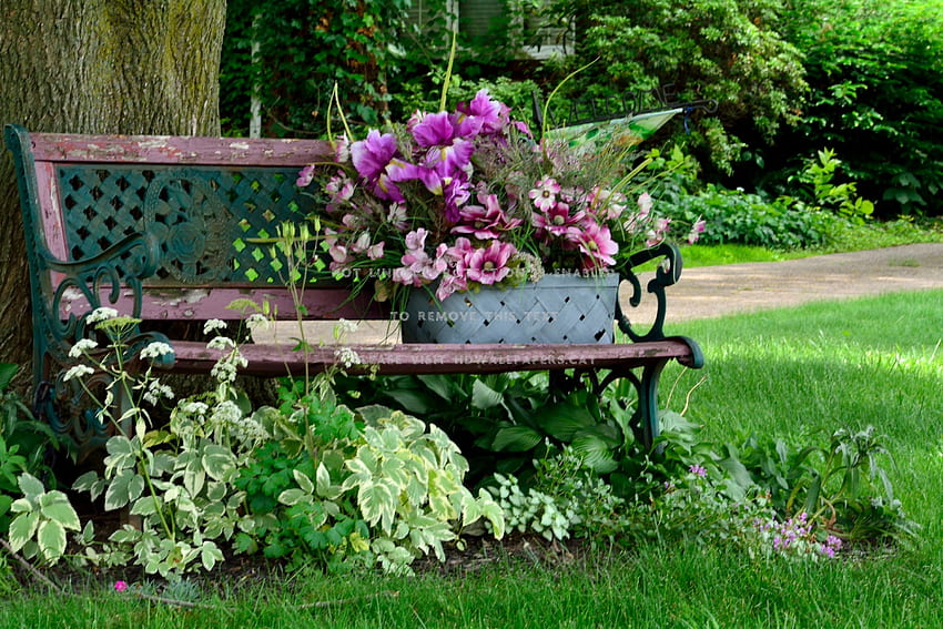 tranquil spring scene bench scenic peaceful HD wallpaper