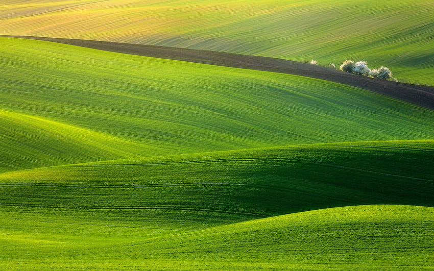 Täglich: Hügel von Mähren, Tschechische Republik. Ich verschwende gerne, tschechische Natur HD-Hintergrundbild