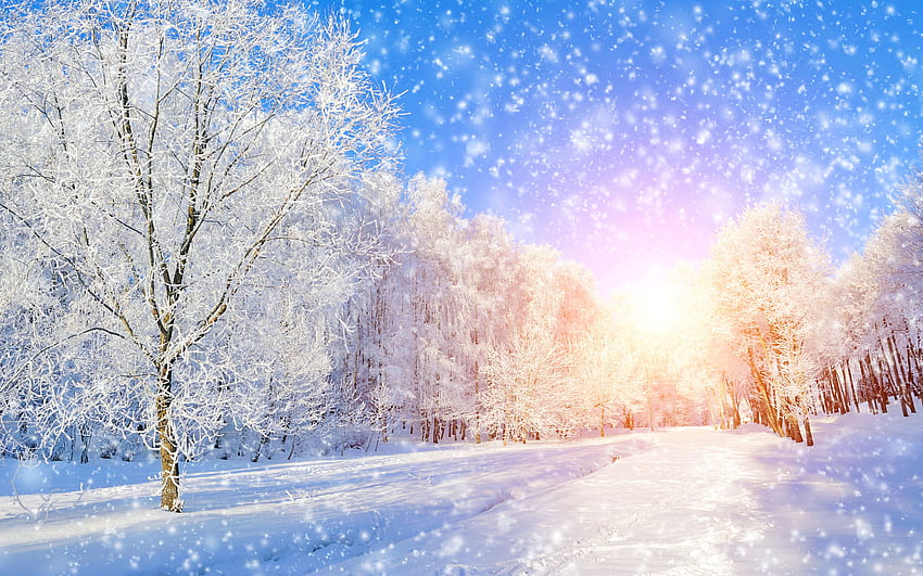 Mùa đông có thể lạnh và khôi hài, nhưng nếu nhìn thấy bức ảnh Winter Ultra, Snow HD wallpaper | Pxfuel, bạn sẽ được đắm mình trong vẻ đẹp tuyệt vời của mùa đông. Hãy tận hưởng những cảnh quan tuyệt vời và những trải nghiệm đặc biệt của mùa đông trong bức ảnh này.