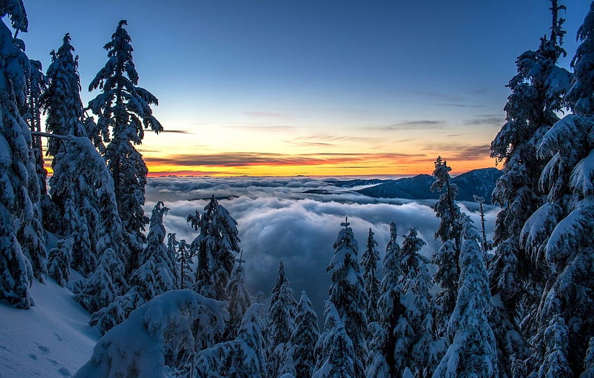 ฤดูหนาว ป่า เมฆ หิมะ ต้นไม้ พระอาทิตย์ตกดิน ภูเขา กิน แคนาดา แวนคูเวอร์ แคนาดา บริติชโคลัมเบีย แวนคูเวอร์ บริติชโคลัมเบีย เทือกเขา North Shore Mountains สำหรับ หมวด пейзажи British Columbia Winter วอลล์เปเปอร์ HD