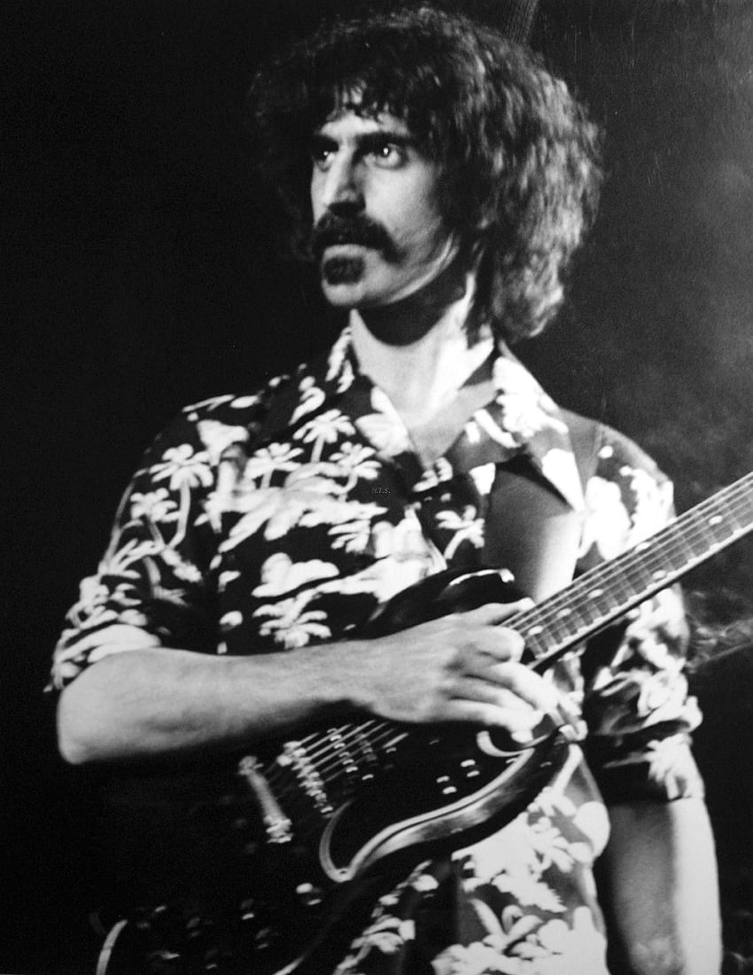 Frank Zappa. Frank Zappa Toilet , Frank Zappa and Zappa HD phone wallpaper