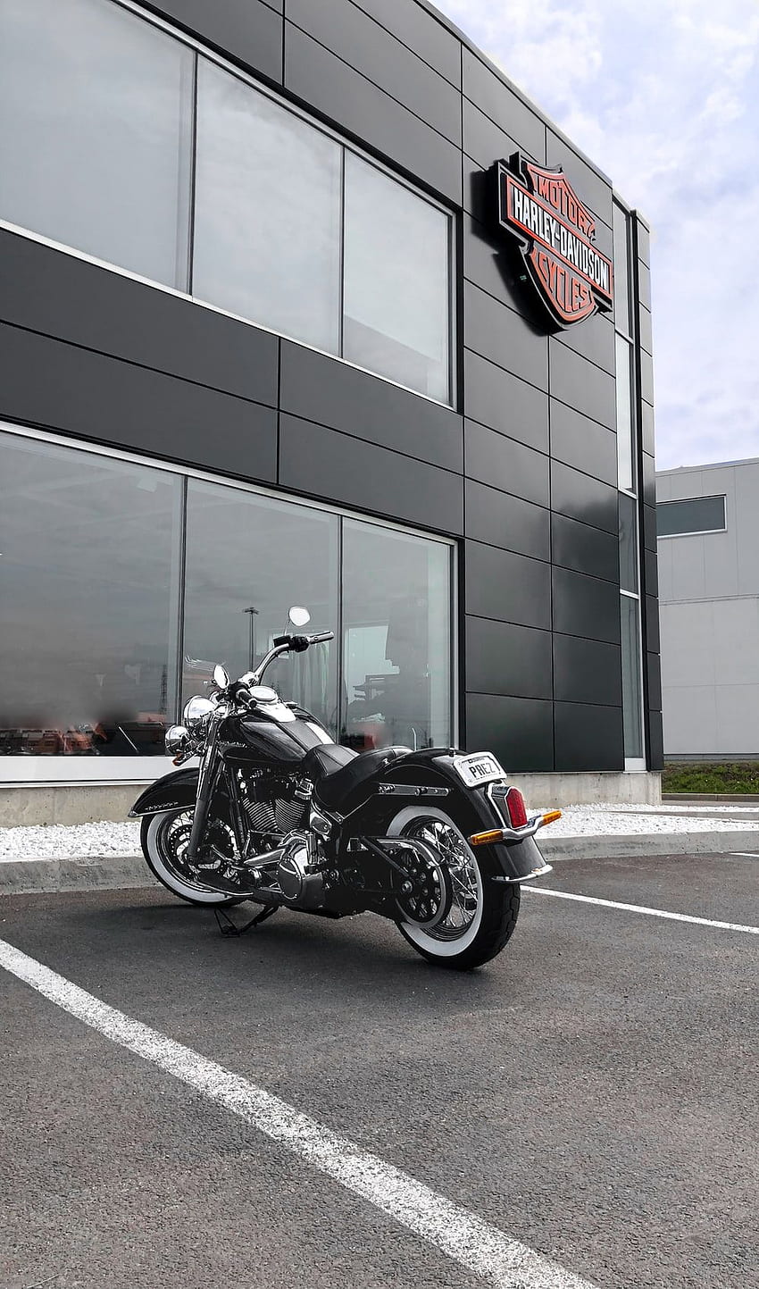 Harley Davidson : [HQ], Cruiser Bike HD phone wallpaper