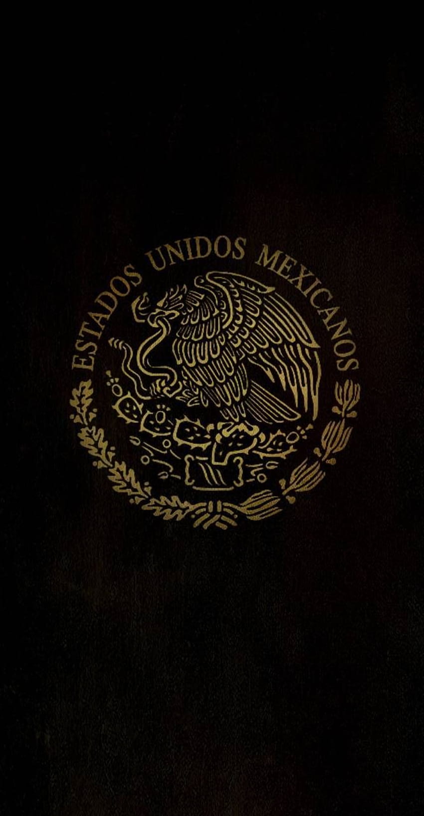 MEXICO america white cdmx ciudad de mexico shield flag red verde  viva mexico HD phone wallpaper  Peakpx