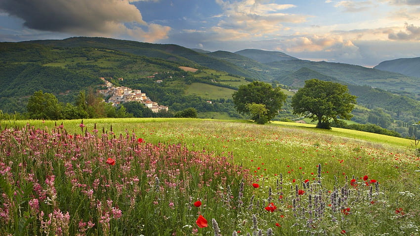 Nature Background In High Quality: Meadow by Angel Holmes, June 12 HD wallpaper