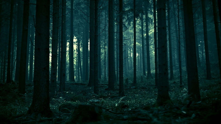 Нощна гора, гора през нощта HD тапет