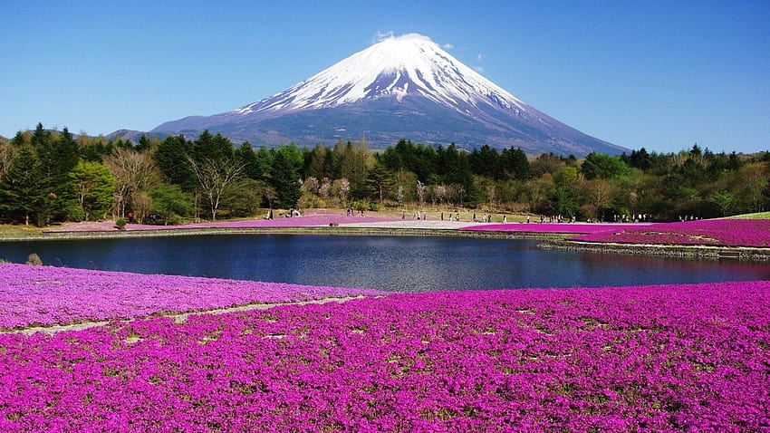 Honshu Island Japan - view of Mount Fuji . Background, Japan Lake HD wallpaper