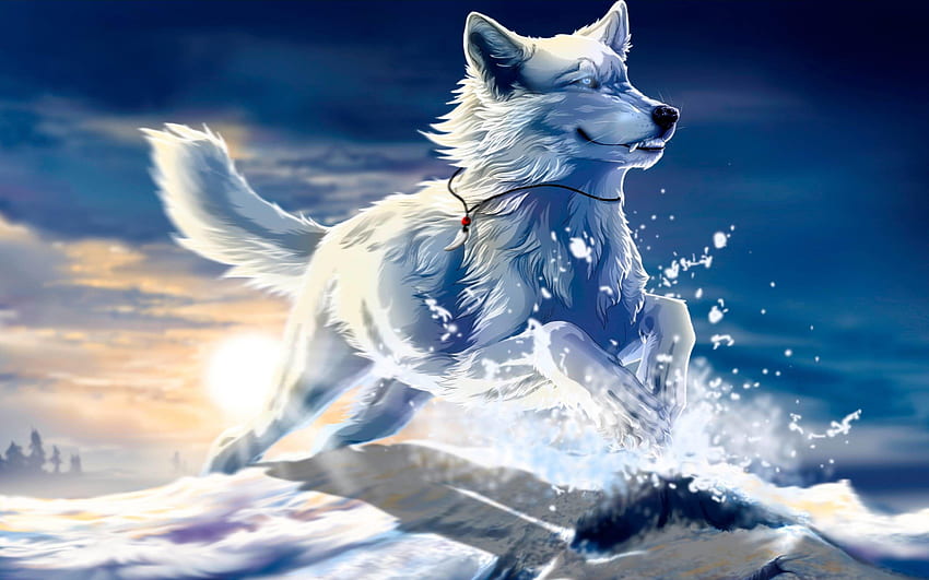 Anime White Wolf, Cute Drawn Wolf HD wallpaper