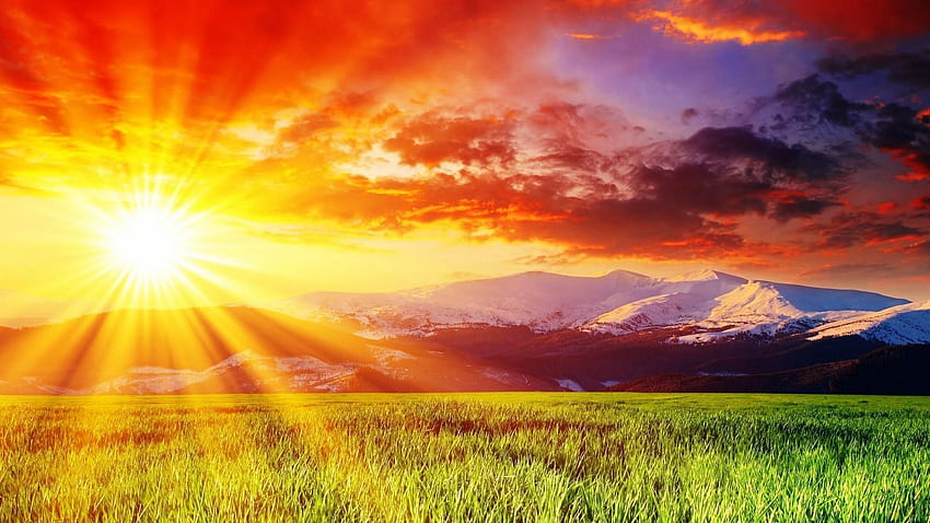 Sinar Matahari & Latar Belakang Sinar Langit Pics, Sinar Matahari Wallpaper HD